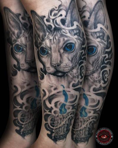 Edwin_Marin_010_Hairless_Cat