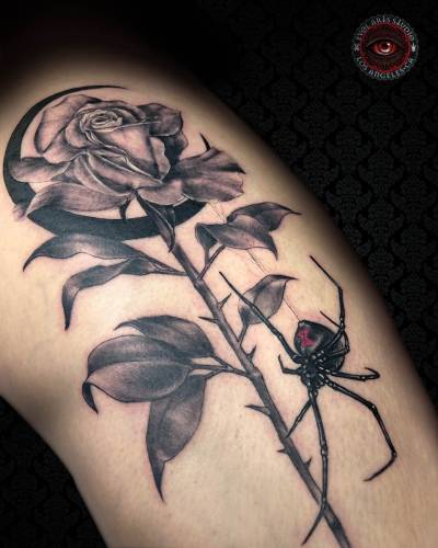 Edwin_Marin_015_Spider_Rose